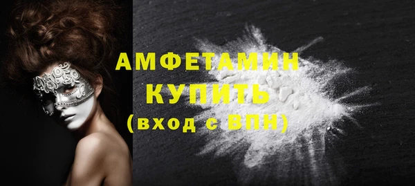 шишки Арсеньев