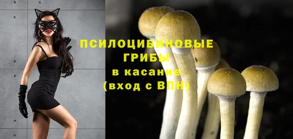 mdpv Аркадак