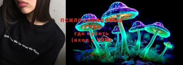 шишки Арсеньев