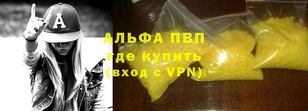 шишки Арсеньев