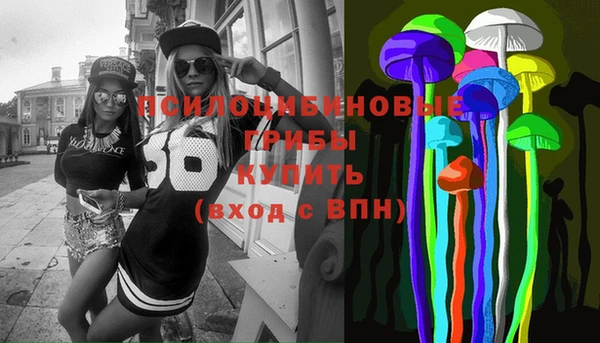 шишки Арсеньев