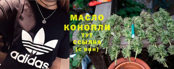 шишки Арсеньев