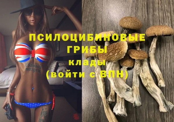 стаф Армянск