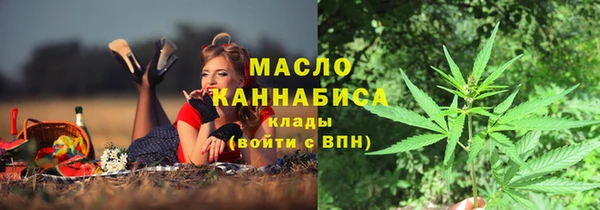 шишки Арсеньев