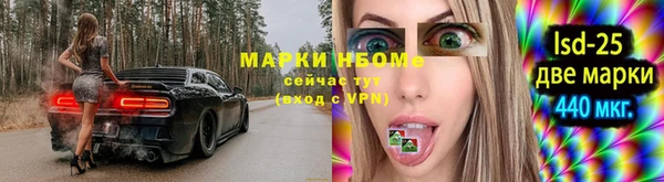 шишки Арсеньев