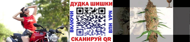 Каннабис семена  продажа наркотиков  Тогучин 